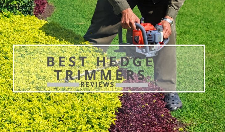 Best-Hedge-Trimmer-Reviews-2019 Best-Hedge-Trimmer-Reviews-2019