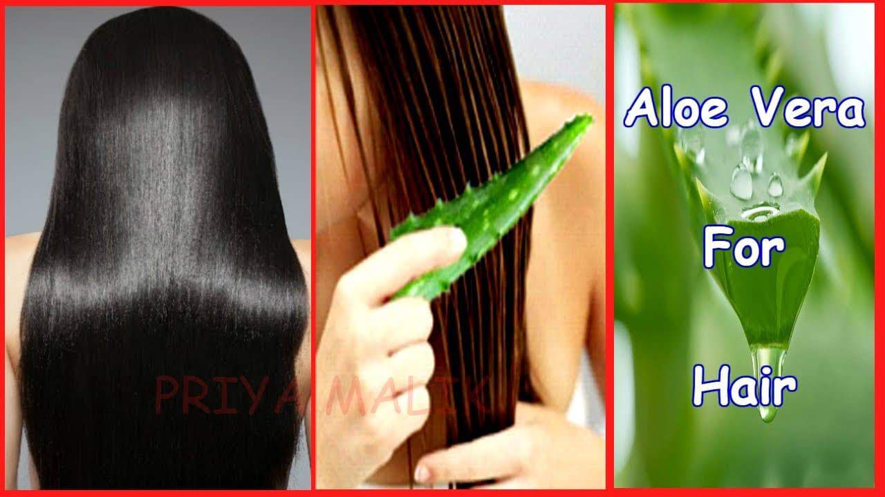 how growth thicker hair with Aloe Vera how growth thicker hair with Aloe Vera
